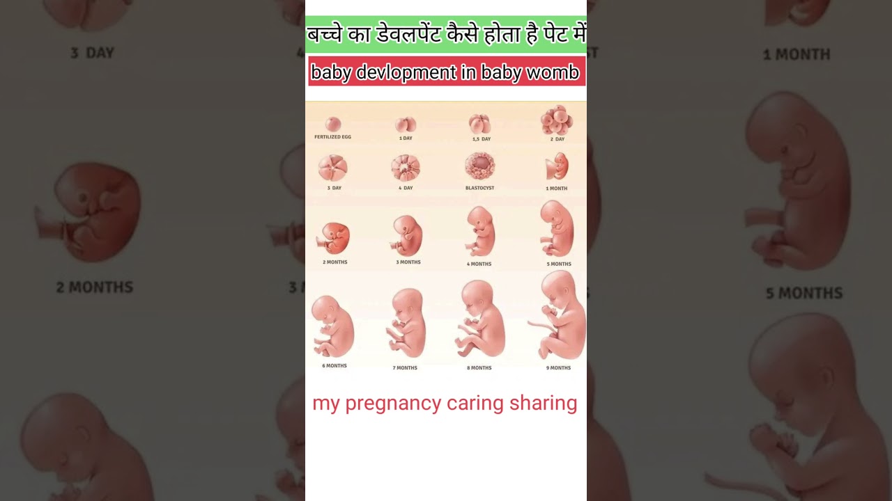 #pregnancysymptoms #porterdeliveryboy #duringpregnancy #deliveryroom #motivational #deliveryroom