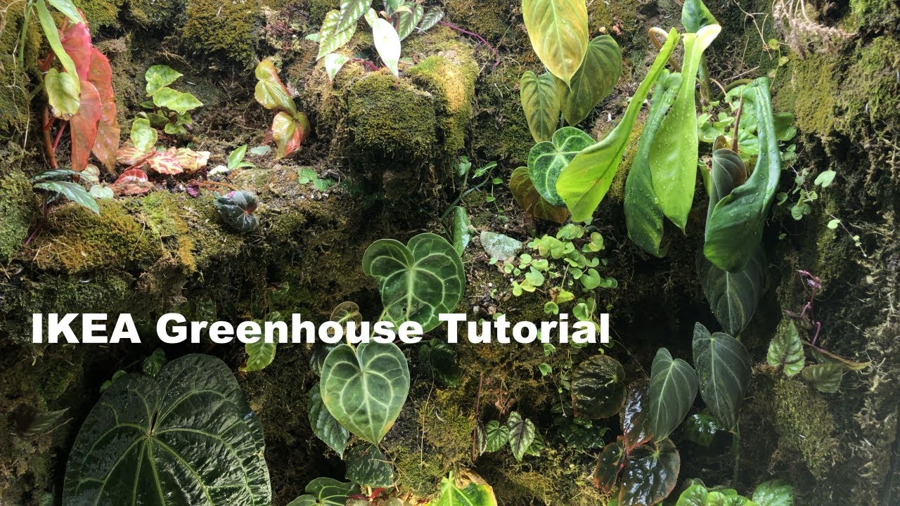IKEA Greenhouse | Tutorial