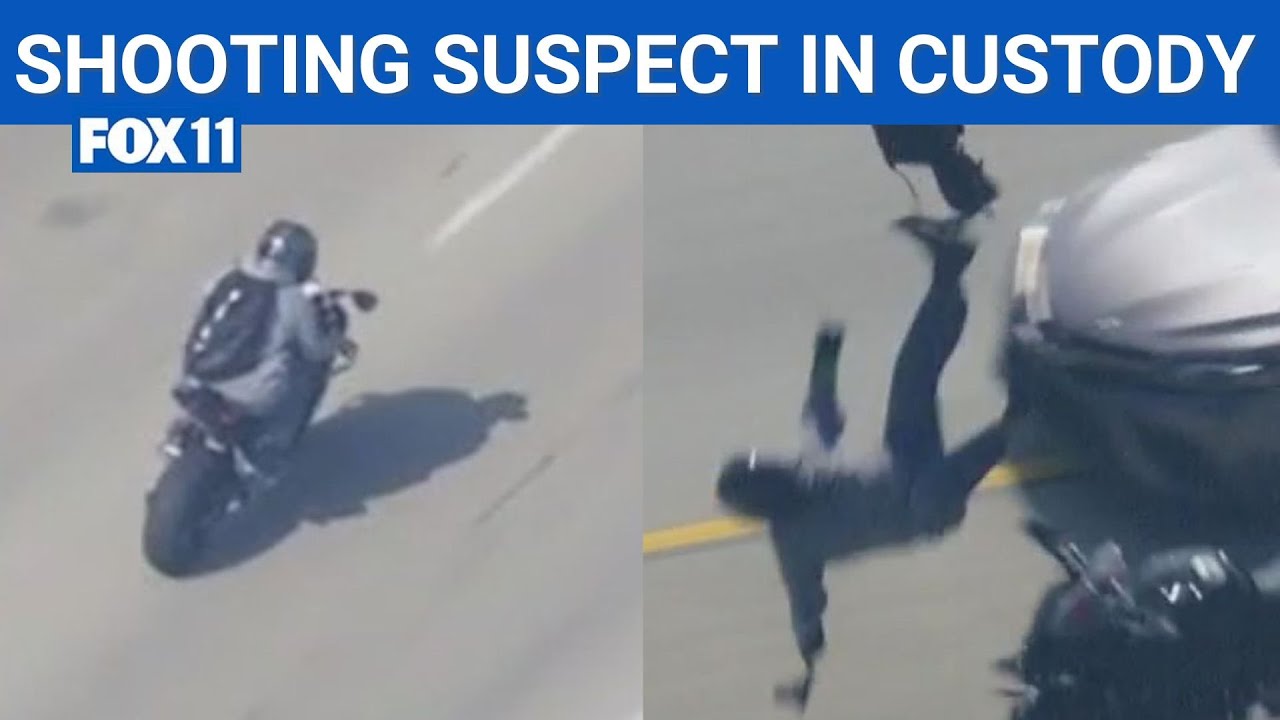 Alleged California cop shooter crashes motorcycle mid-police chase | FOX 11 LA