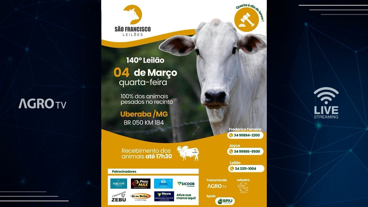 SÃO FRANCISCO LEILÕES - 04/03/2026