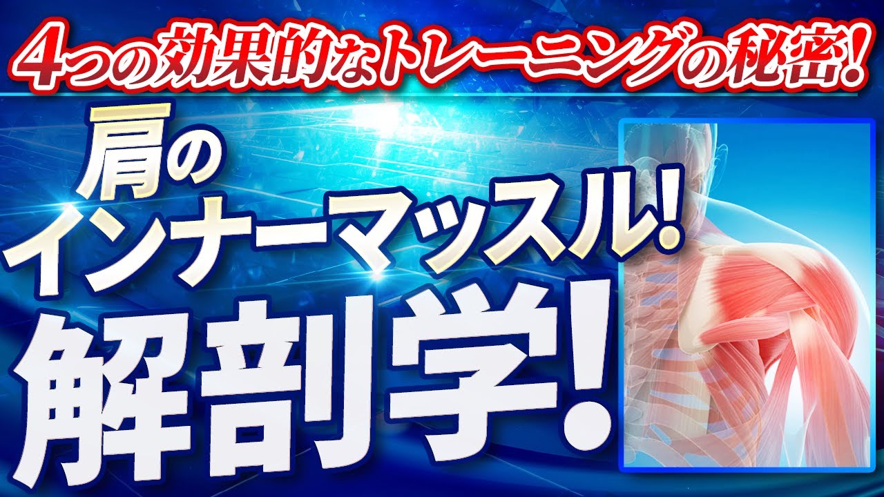 肩のインナーマッスル完全攻略！解剖学的４つのトレーニングのポイント！