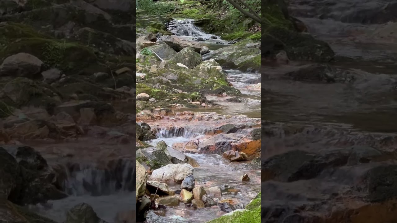 Sounds of nature, Daedun Mountain Wanju, Korea8 