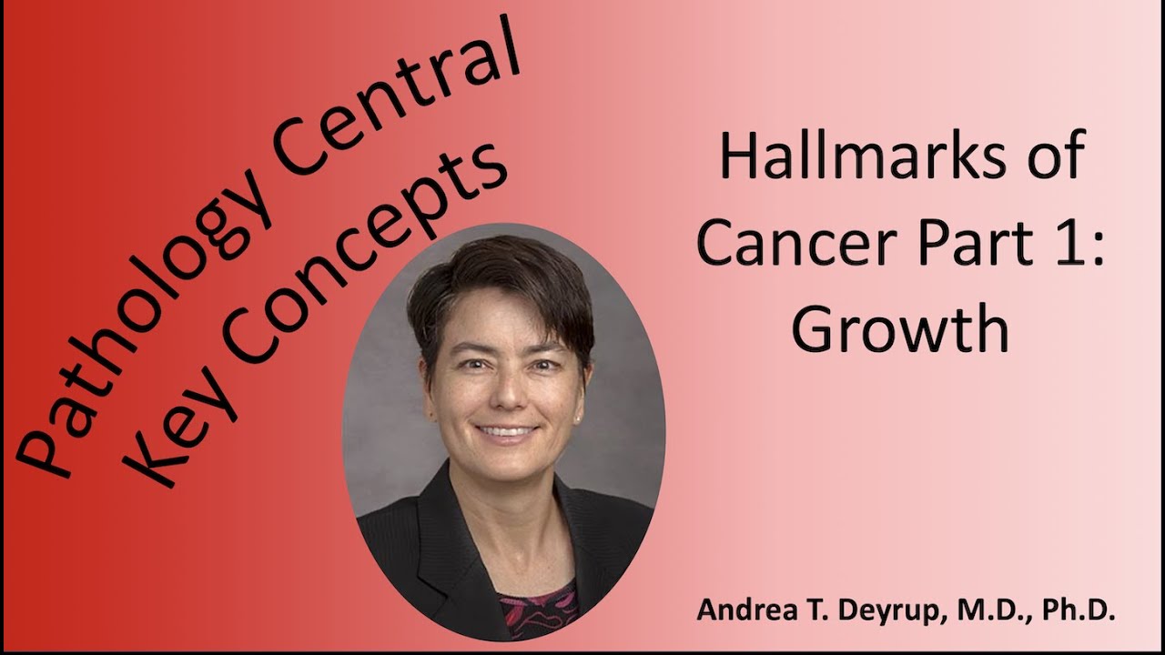Medical School Pathology: Hallmarks of Cancer Part 1: Growth