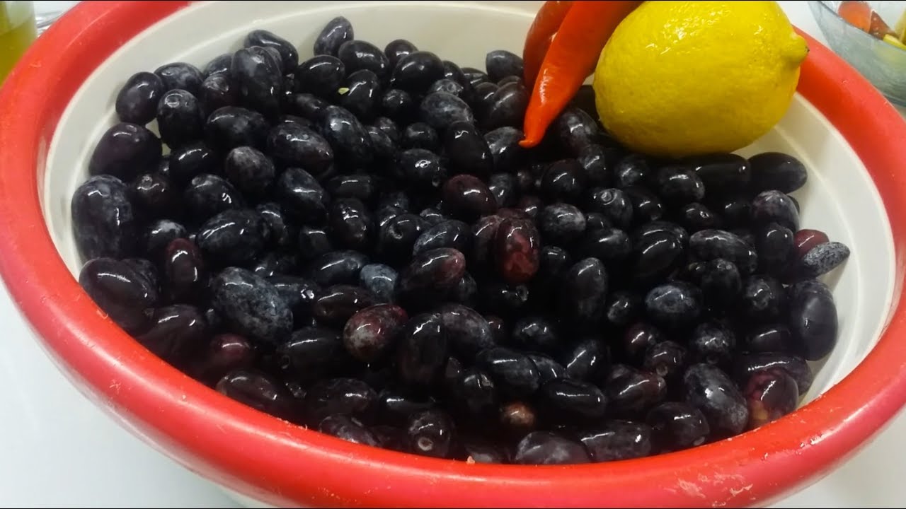 كيفية كبس الزيتون الأسود- الطريقة اللبنانية Pickling Black Olives - Lebanese Recipes