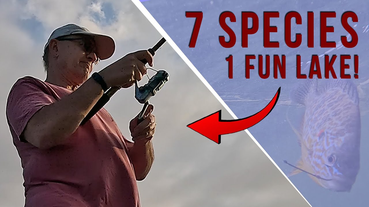 Summer Fishing on Pewaukee Lake - Great Variety of Fish!