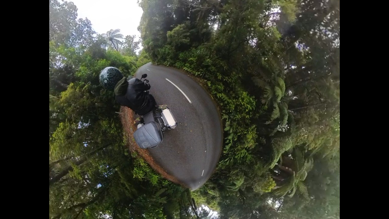 Waipoa Forest, POV meditative Zen forest ride and relaxing music. Triumph Tiger XRX 800 2017
