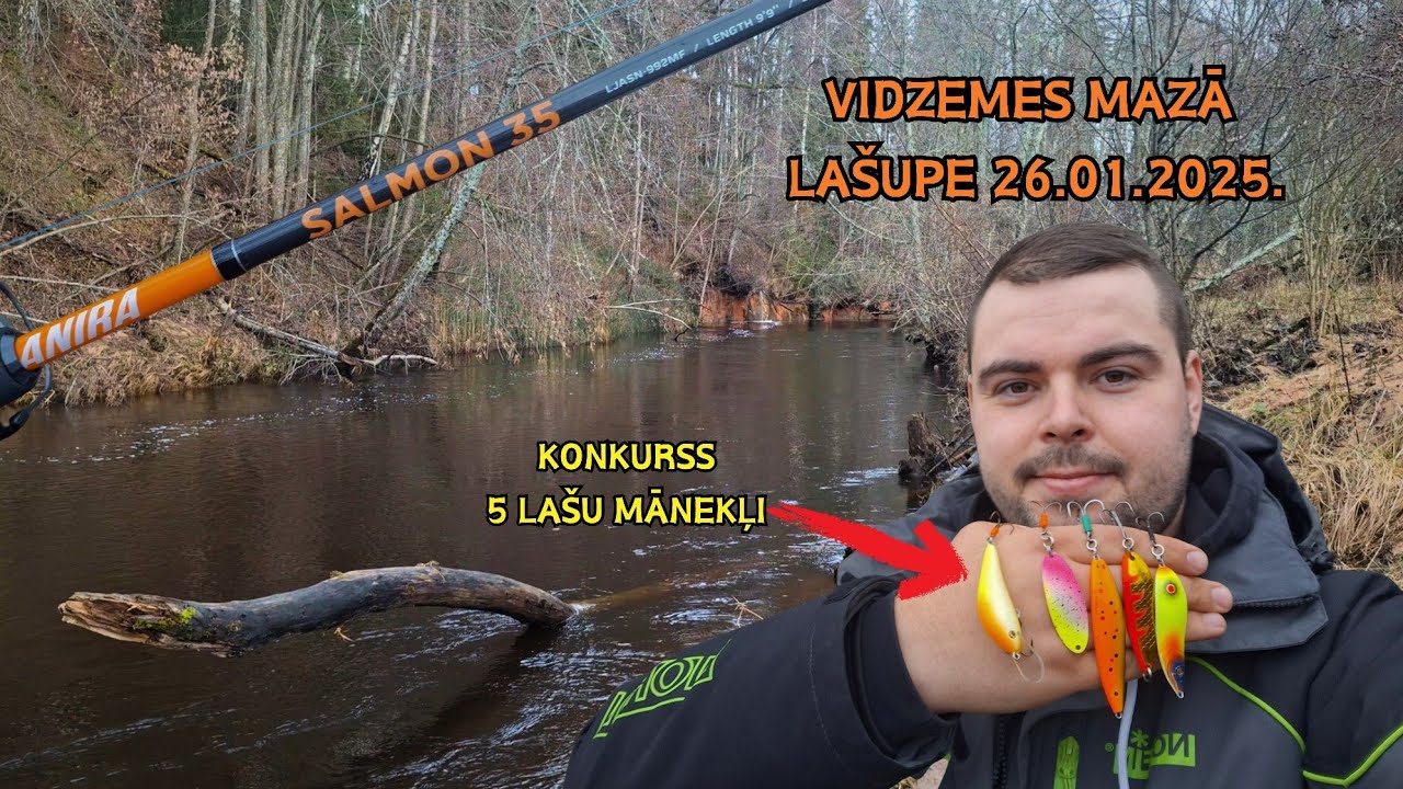 Cope mazā Vidzemes lašupē! Konkurss kurā iespēja laimēt 5 lašu mānekļus! Lašu un taimiņu cope 2025!