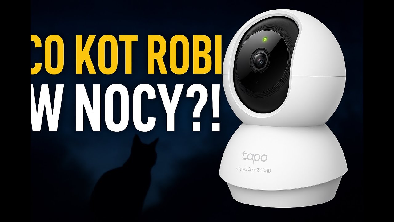 Co kot robi w nocy? 🐱 Test kamery TP-Link Tapo C220