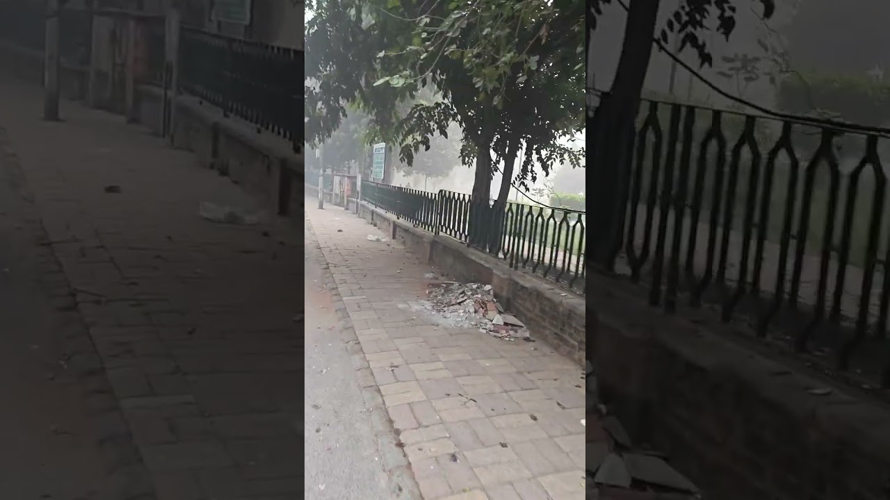 🌼दीपावली के बाद करहती दिल्ली 🌷