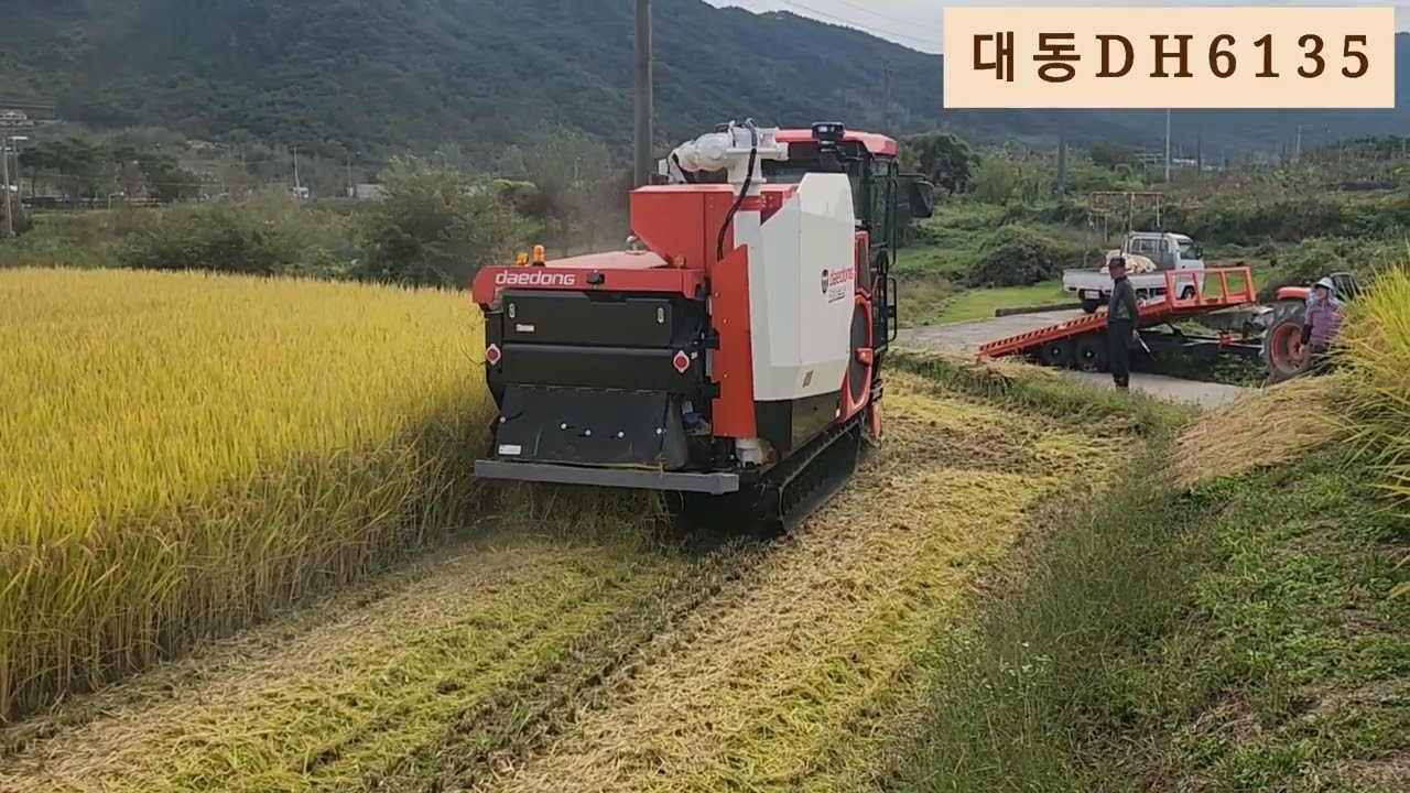 대동6조콤바인 DH6135(143마력) - 전남 곡성군 곡성읍