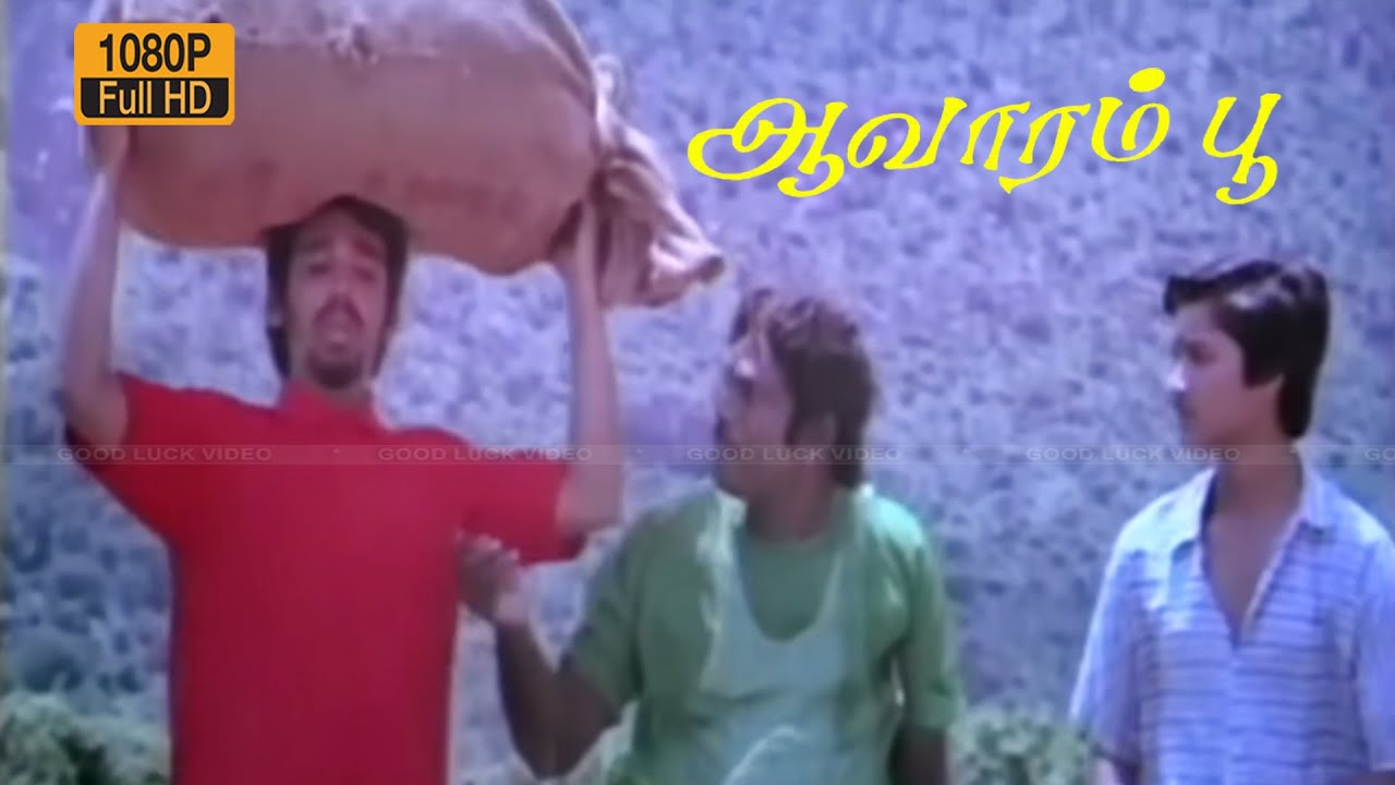 நான் வெக்கிறேன் பாரு ஆப்பு??? | Goundamani | Vineeth | AAVARAMPOO Full Comedy Scenes .