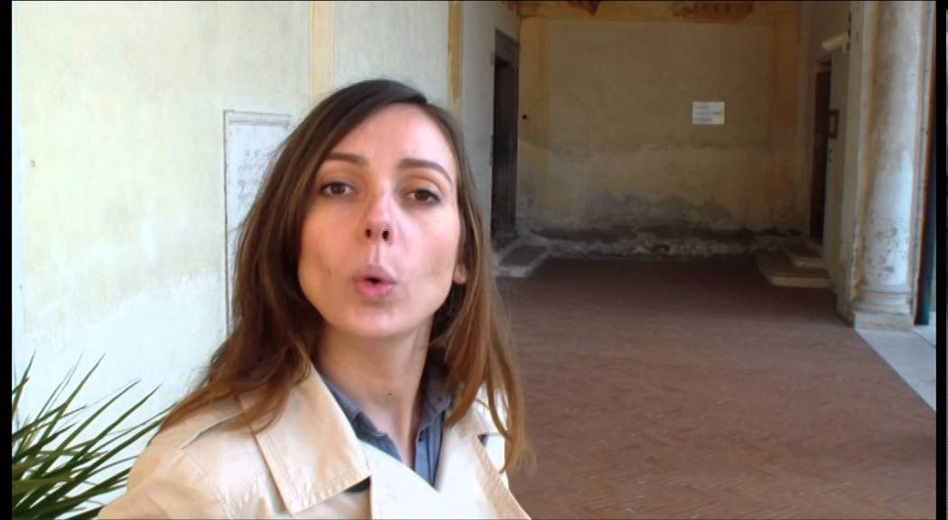 Dove sta la verita? Il mistero della comparsa e scomparsa dei grandi rettili