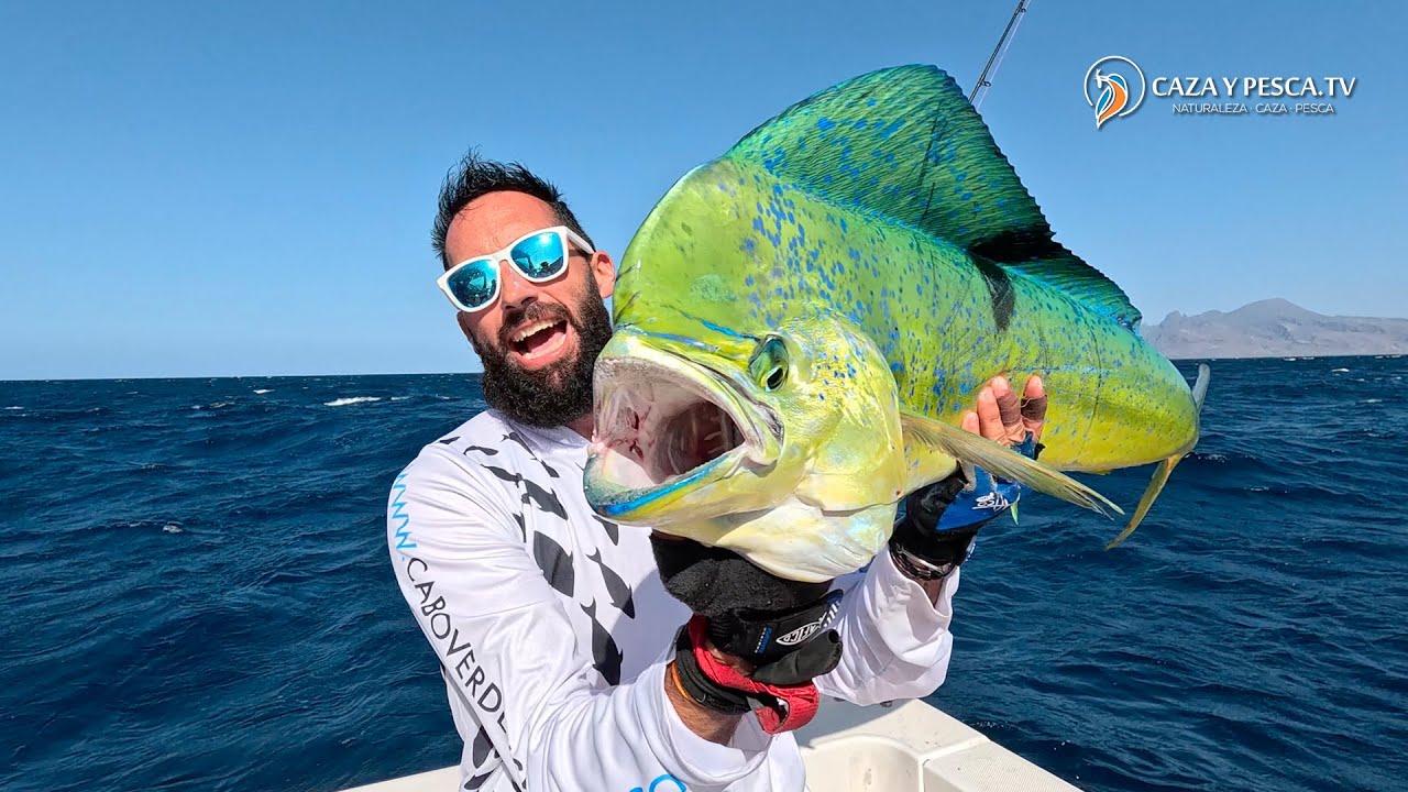【𝐒𝐚̃𝐨 𝐍𝐢𝐜𝐨𝐥𝐚̃𝐮 𝐅𝐢𝐬𝐡𝐢𝐧𝐠】Capítulo 1 · Pesca en Cabo Verde