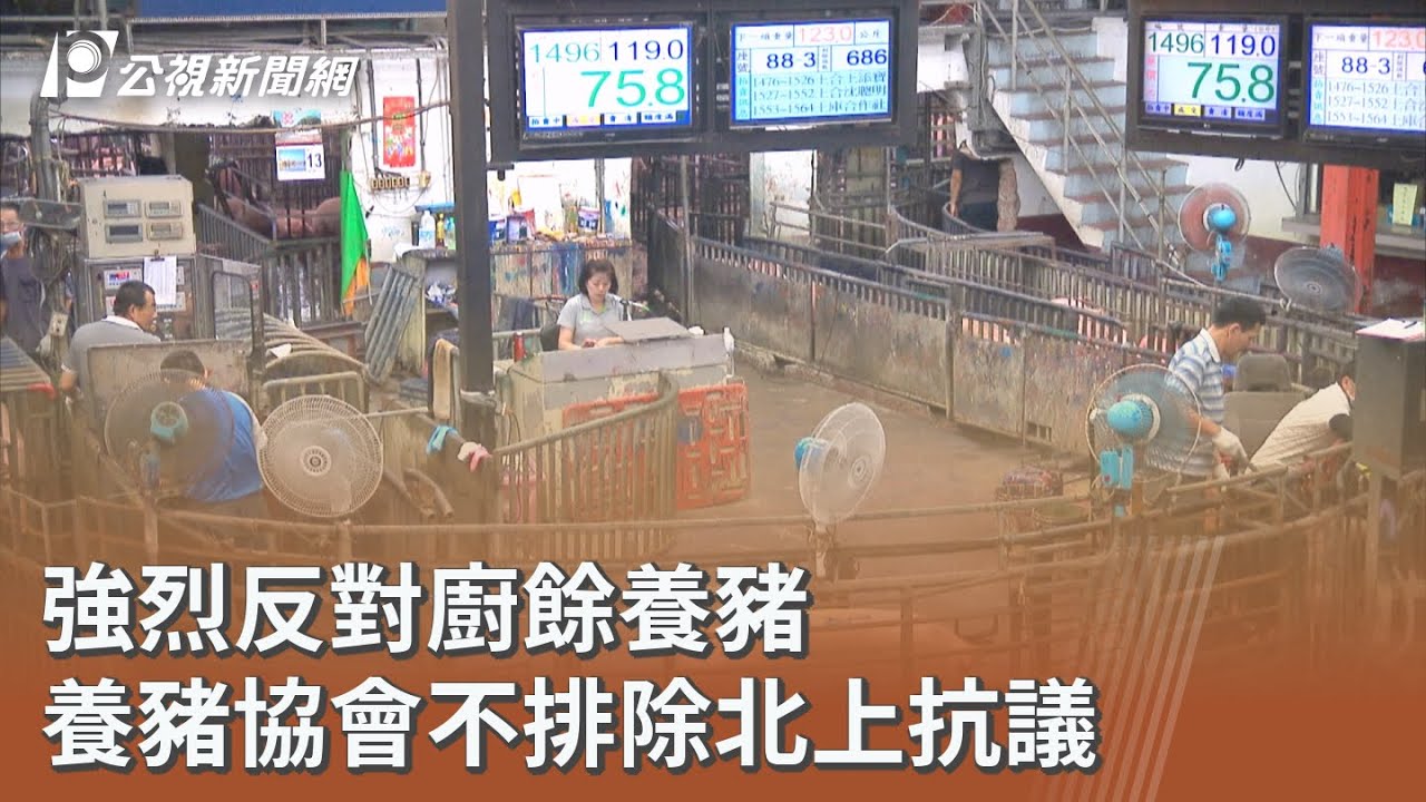 強烈反對廚餘養豬 養豬協會不排除北上抗議｜20251125 公視午間新聞