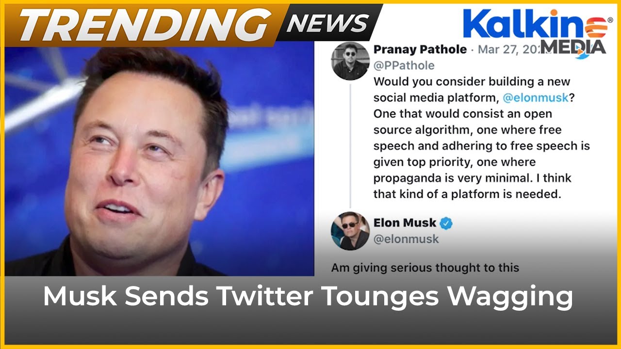Is Musk thinking about launching a social media platform? | Trending News Australia