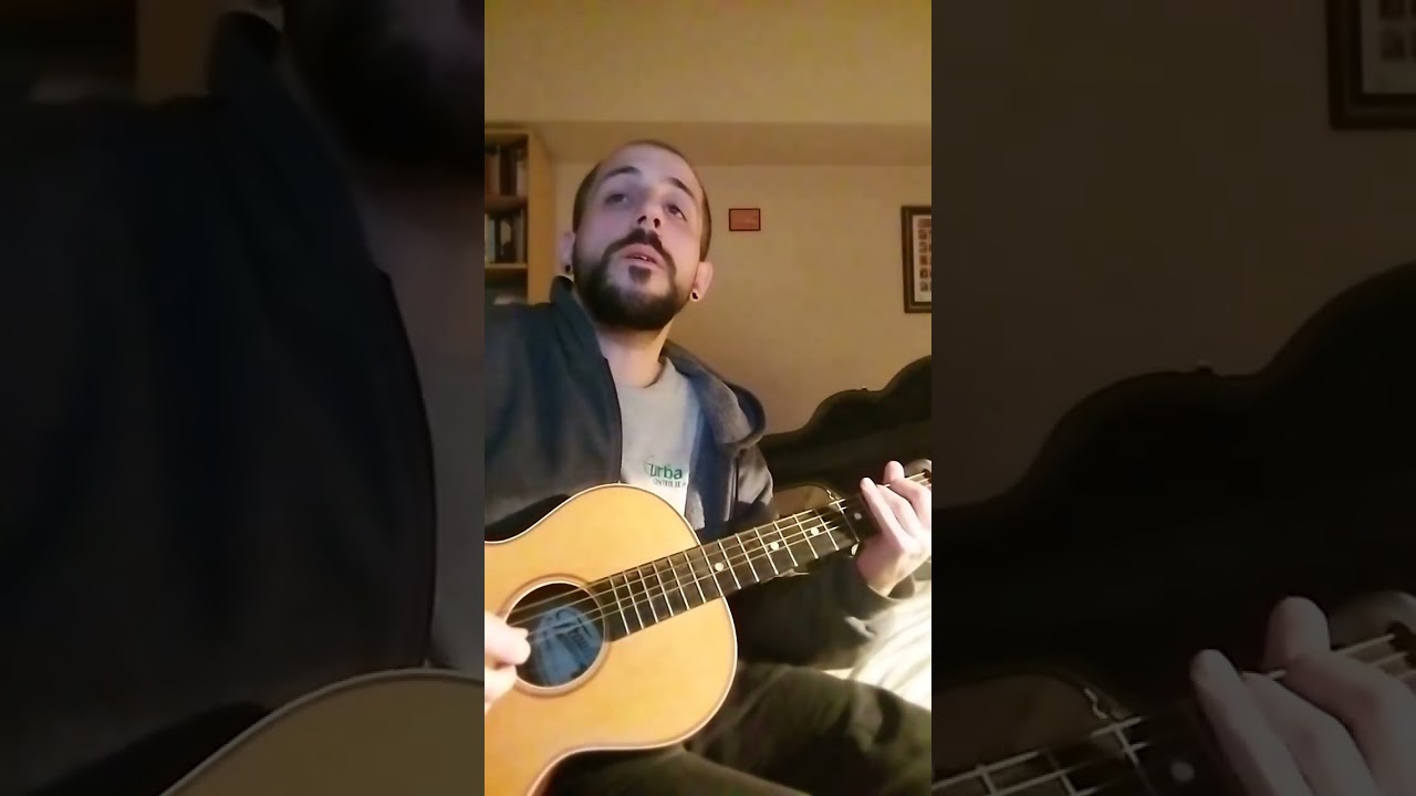 Blaze Foley Moonlight Song 
