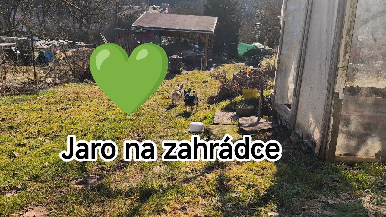 💚 Jaro na zahrádce 💚