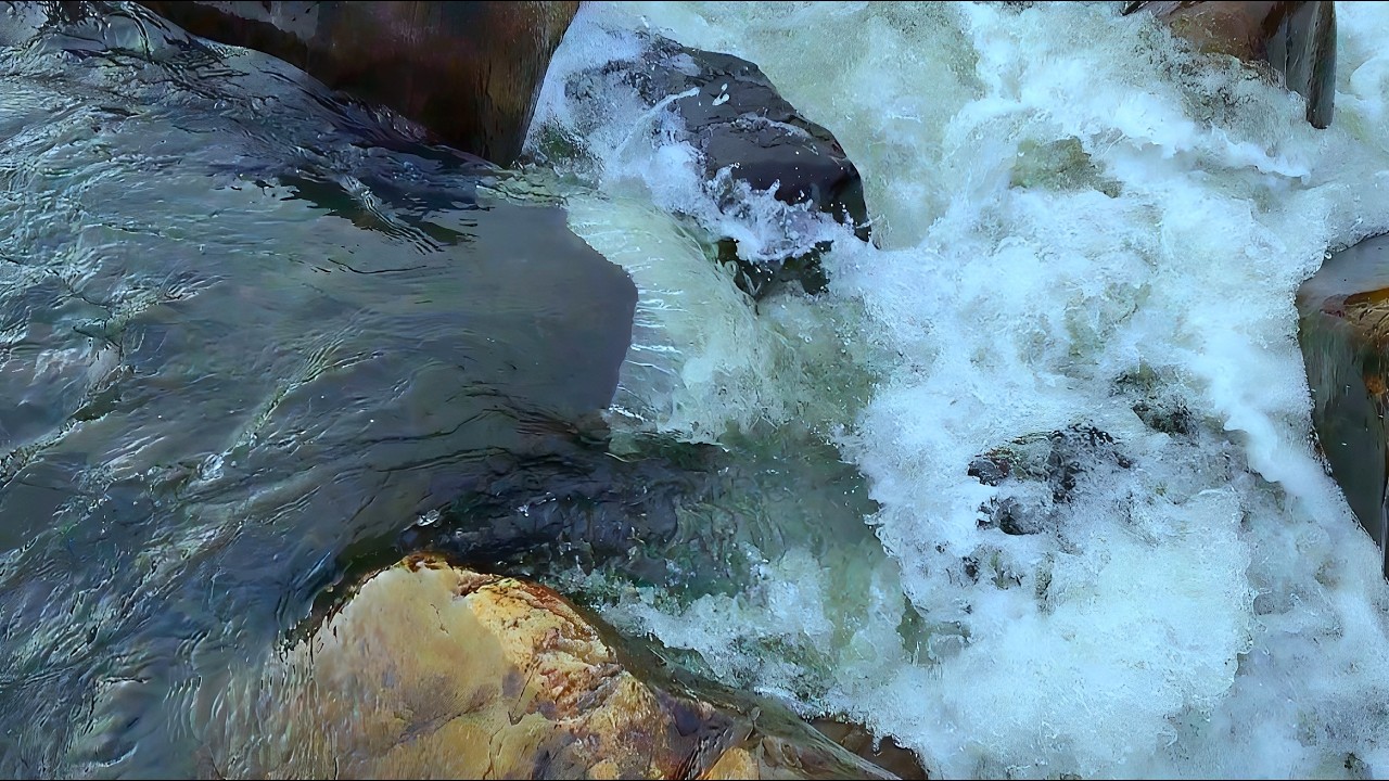 Jharkhand's scenic beauty⛳🏞️ • Cathelo Exploration • relaxing vibes