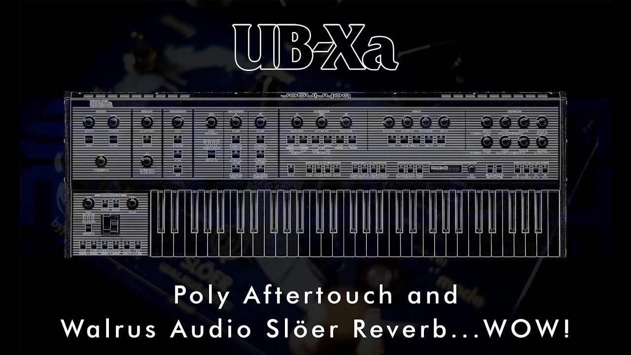 Behringer - UB-Xa with Walrus Audio Sl&ouml;er