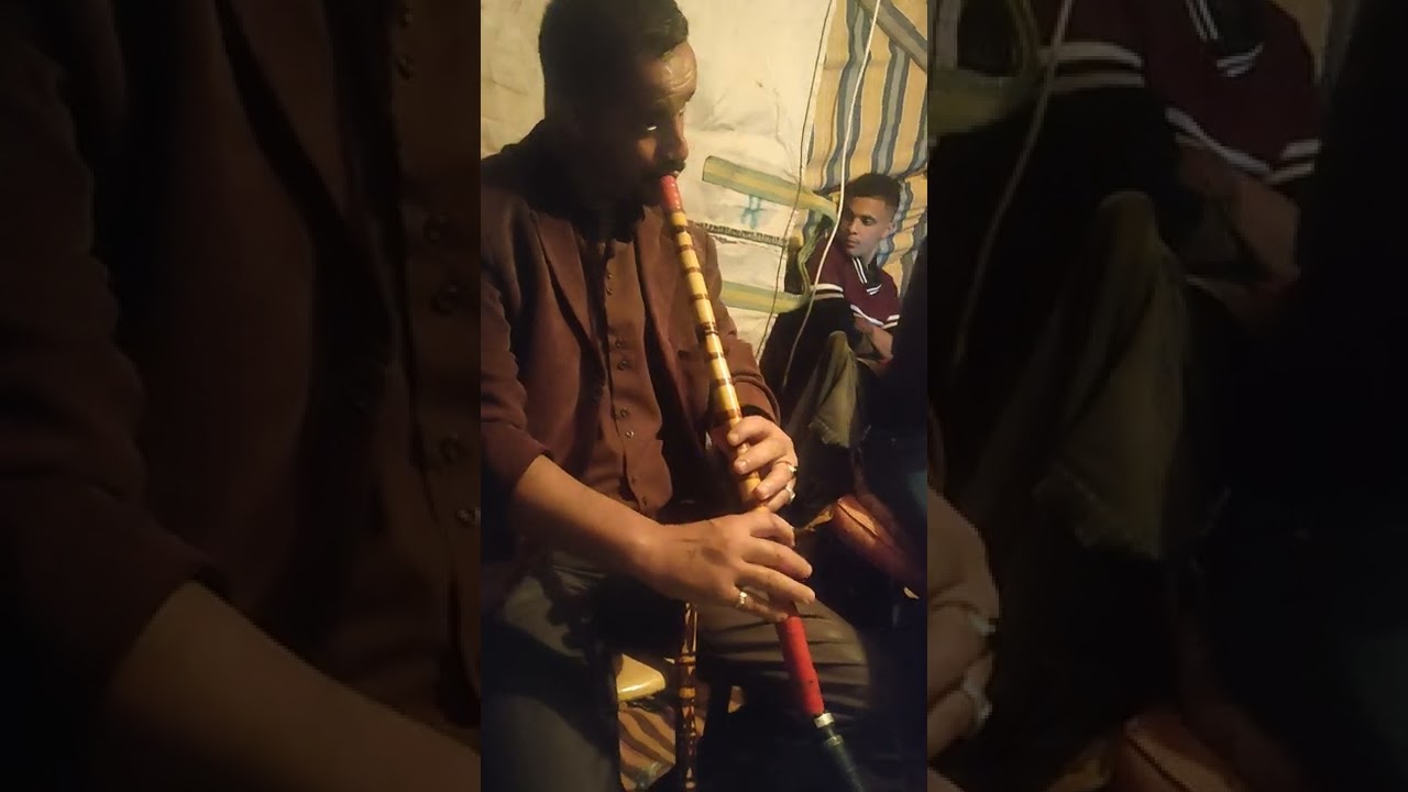 شيخ ناصر وشيخ جلالي نمر مكاش كلي صفا نيتو