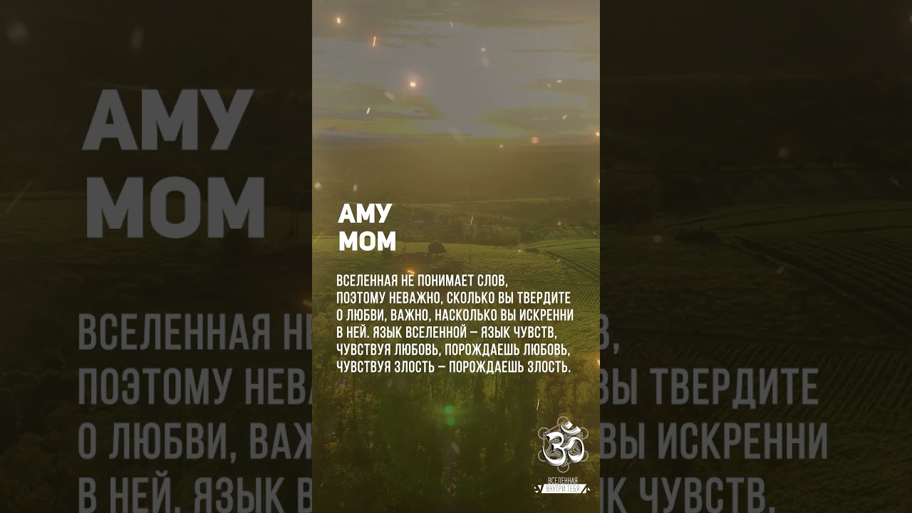 Вселенная не понимает слов. Подобное порождает подобное. Аму Мом #shorts #shortsvideo #youtubeshorts