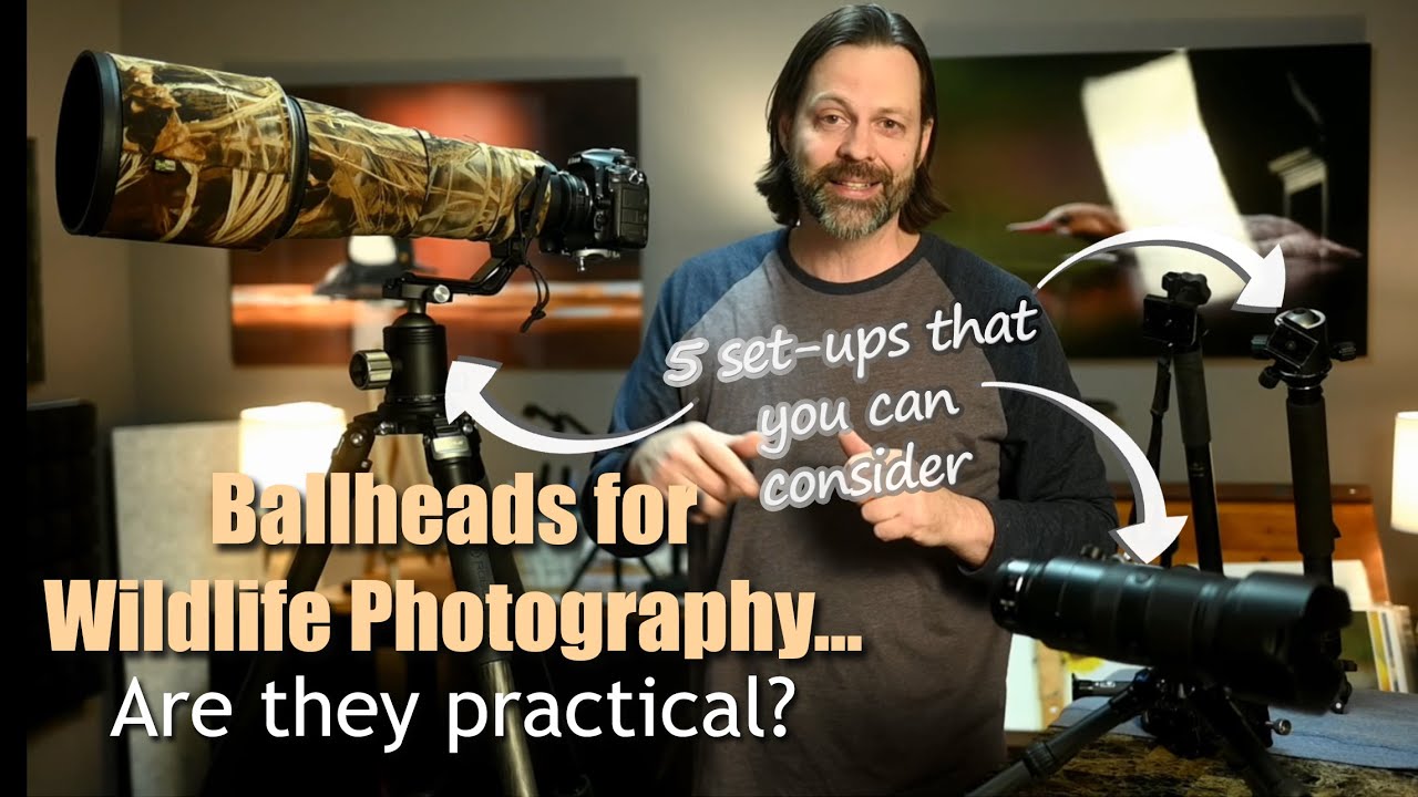 Ballhead for Wildlife Photography, Does It Make Sense and Why?