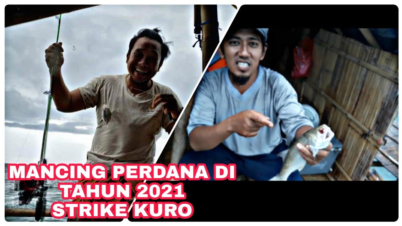 Mancing Kuro || Mancing Kakap Tompel di Bagan Pertamina