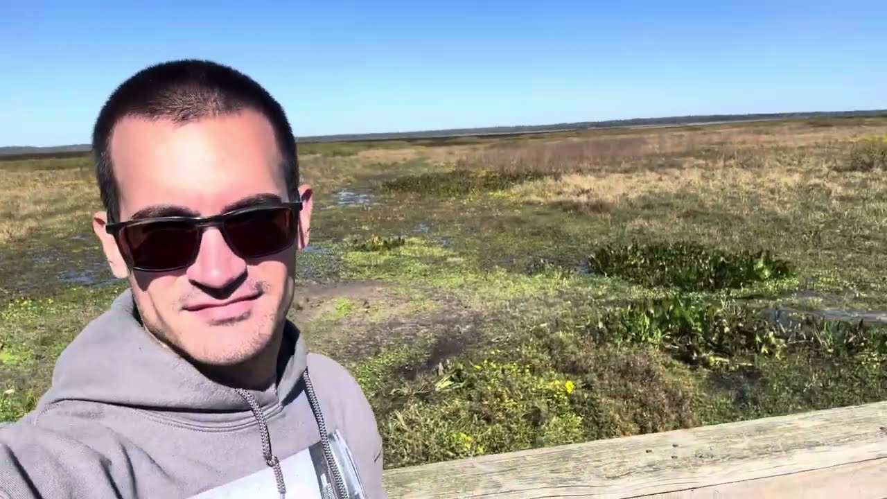 I Got To See Alligators Up Close! | Botanical Gardens, Gainesville Florida & Nature Walks