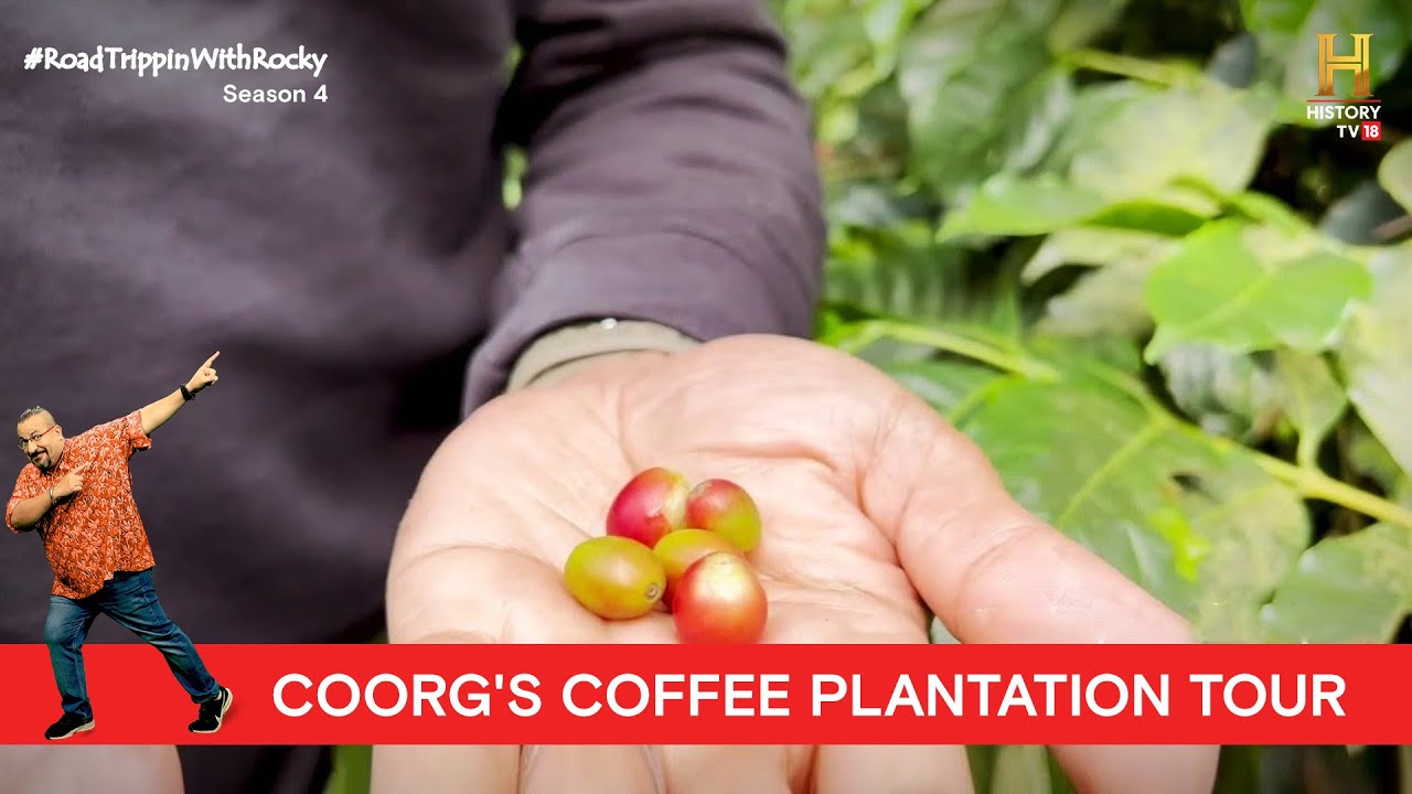 Coffee Plantation Tour in Coorg | #RoadtrippinWithRocky S4 | D07V03