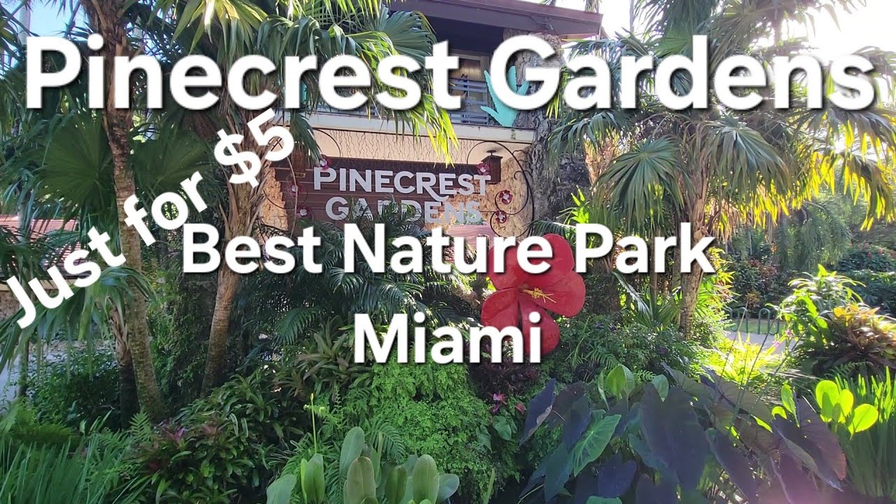 Pinecrest Gardens Nature Park Miami,Florida. 11 March 2024.