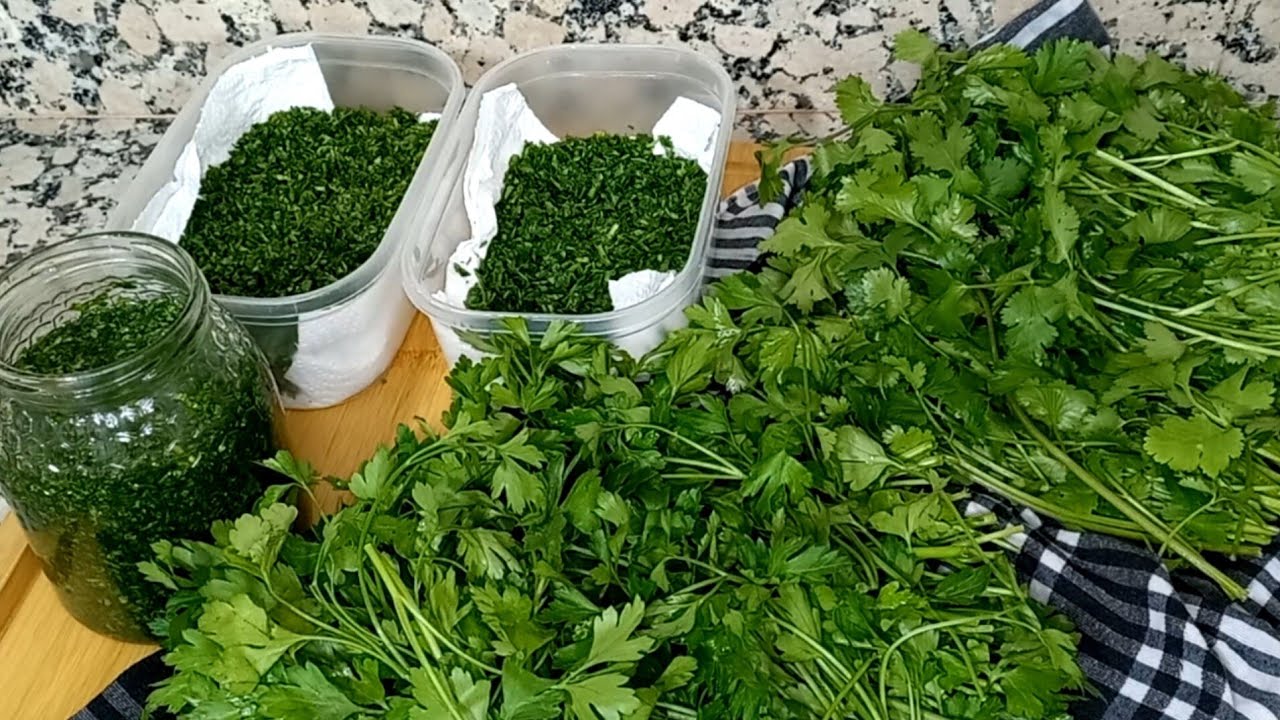 ثلاثة طرق للاحتفاظ بالقزبر والمعدنوس بدون مجمد كيبقى مدة طويلة محافظ على لونه ونكهته