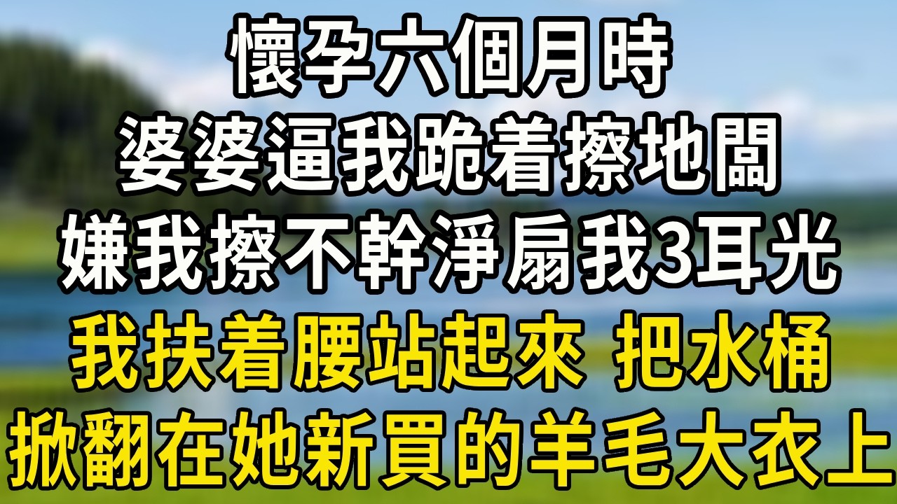 懷孕六個月時，婆婆逼我跪着擦地闆，嫌我擦不幹淨扇我3耳光。我扶着腰站起來，把水桶整個掀翻在她新買的羊毛大衣上！#翠花的秘密#婆媳#家庭故事