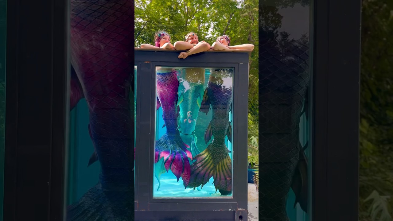 Swimming in our storage container mermaid tank! 🧜‍♀️