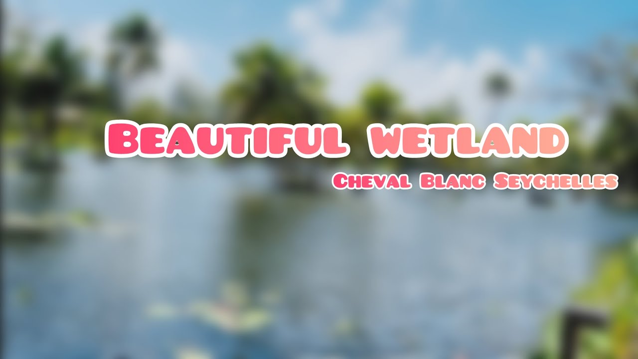Beautiful wetland👆| nature | Cheval Blanc Seychelles