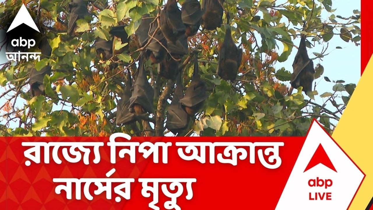 Nipah Virus |  নিপা আক্রান্ত মহিলা নার্সের মৃত্যু | ABP Ananda LIVE