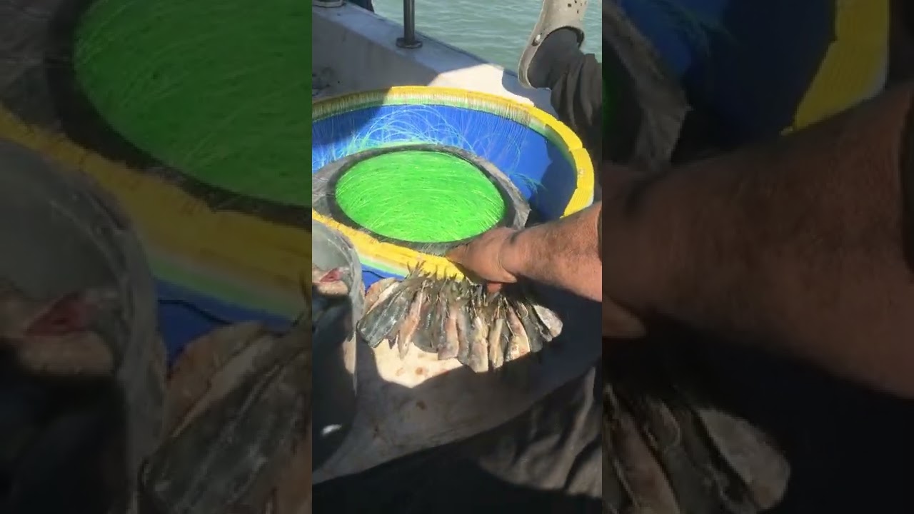 Paragat Nasıl yemleri teknikleri ￼