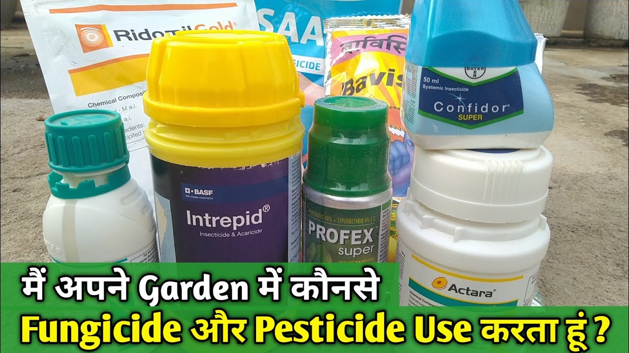 Rose Plant Ke Liye Best Pesticide & Fungicide | Galti Na Kare