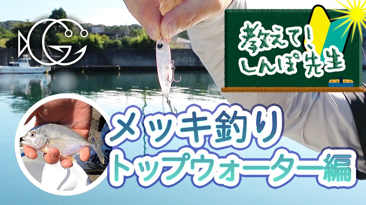 トップウォータープラグを使ったメッキ狙いのライトタックルゲームを、教えて！しんぽ先生［字幕］