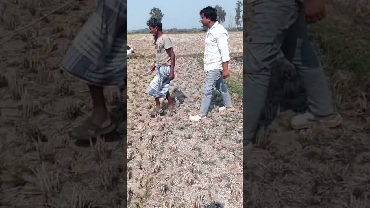 👉 “আজকে কাকুকে একটু রাগাই… দেখেন কি হয়!” 😏#youtube #funny #comedy 