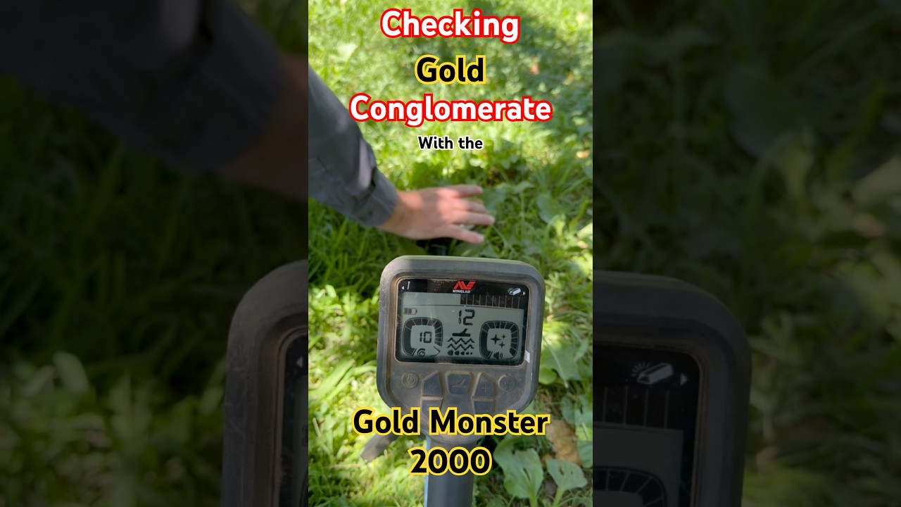 Проверка золотоносного конгломерата с помощью Gold Monster 2000 #поискметаллов #добычазолота #мет...