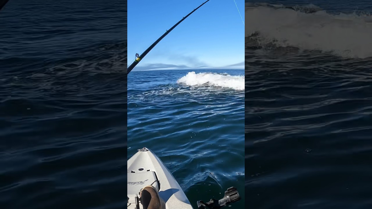 Hobie Outback Kayak Mirage Drive 180 Forward & Reverse #hobiefishing #hobieoutback #oceankayaking