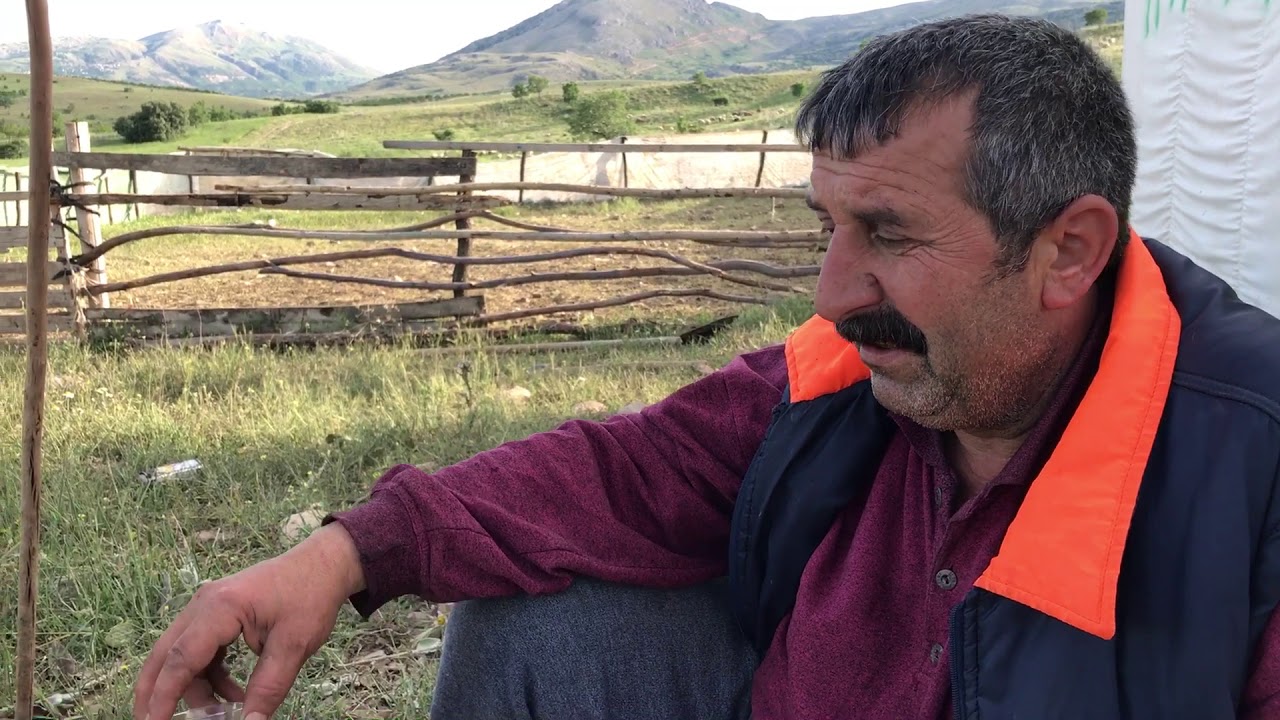 İkinciler Köyü (Qarran) Koyuncu emekçilerin mera sorunları