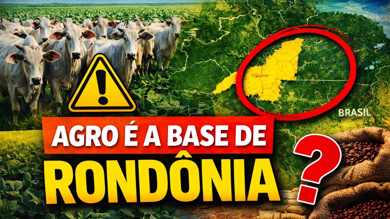 Agropecuária em Rondônia – O Tema que Mais Cai em Concurso