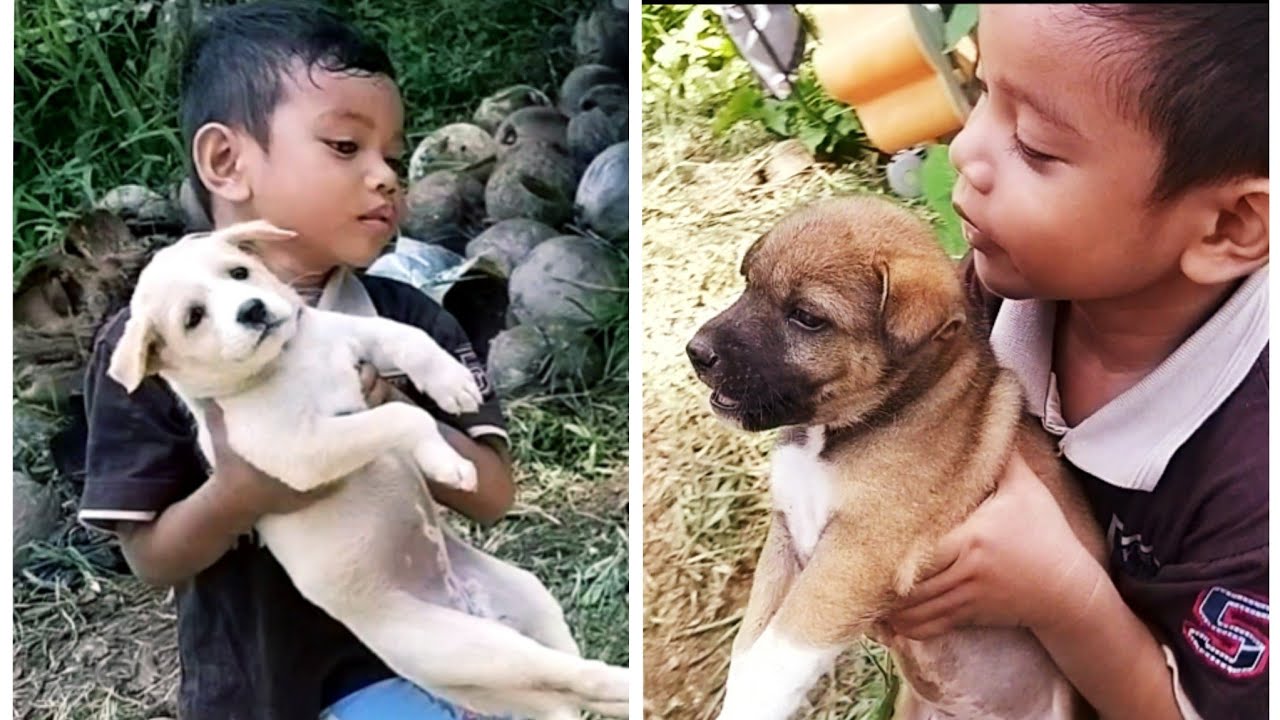 Anak anjing lucu naik sepeda 💟 Zefanya Oyanio