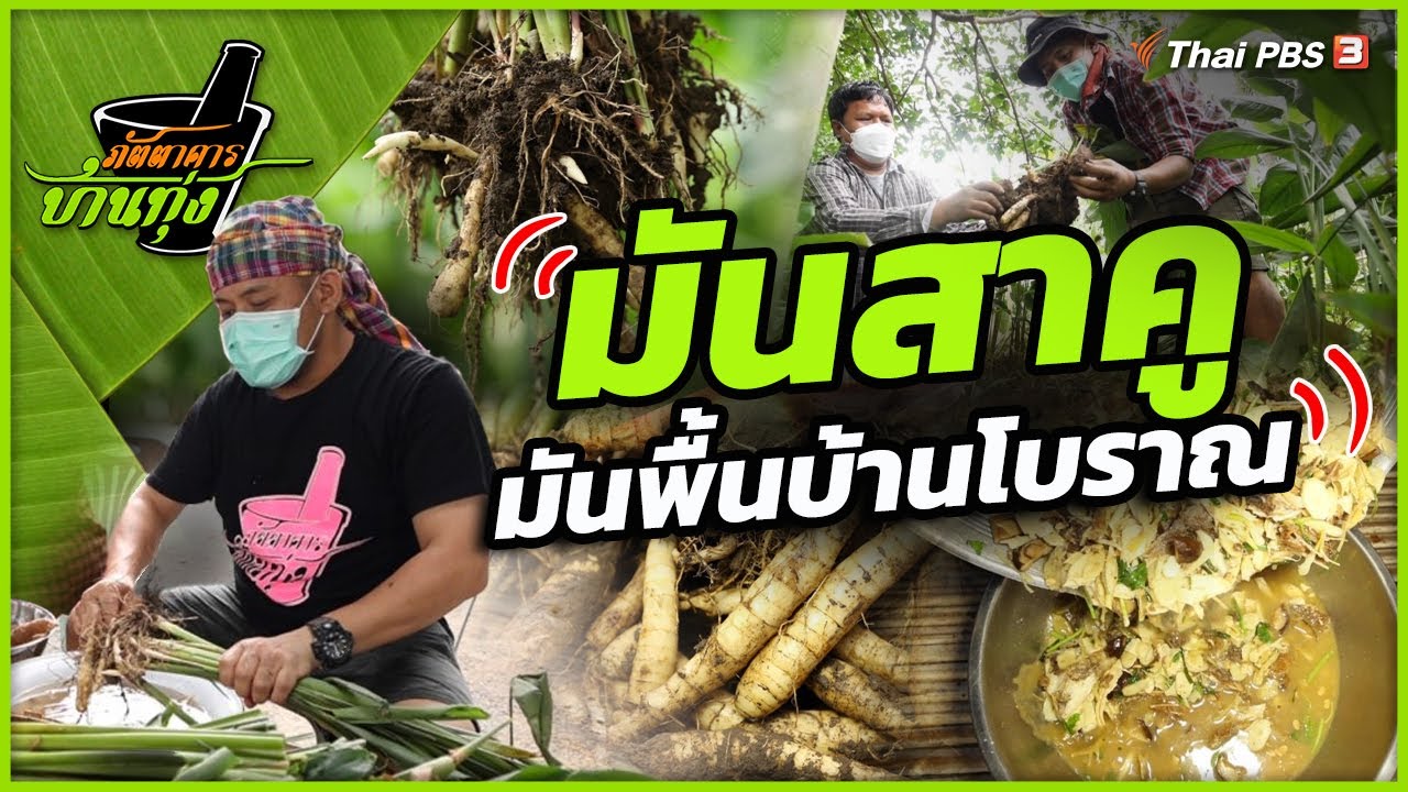 มันสาคู | ภัตตาคารบ้านทุ่ง