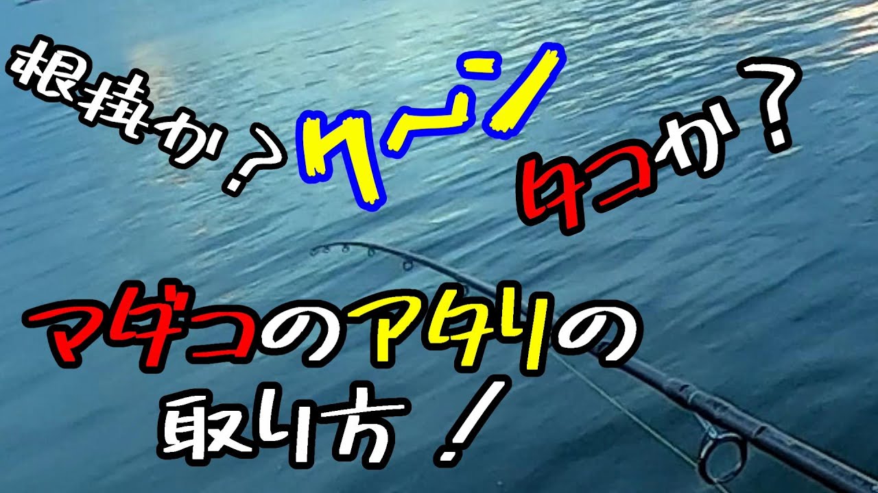 【タコ釣り】根掛？マダコ？わかりにくいタコのアタリを見極める！@釣りに行こうか​