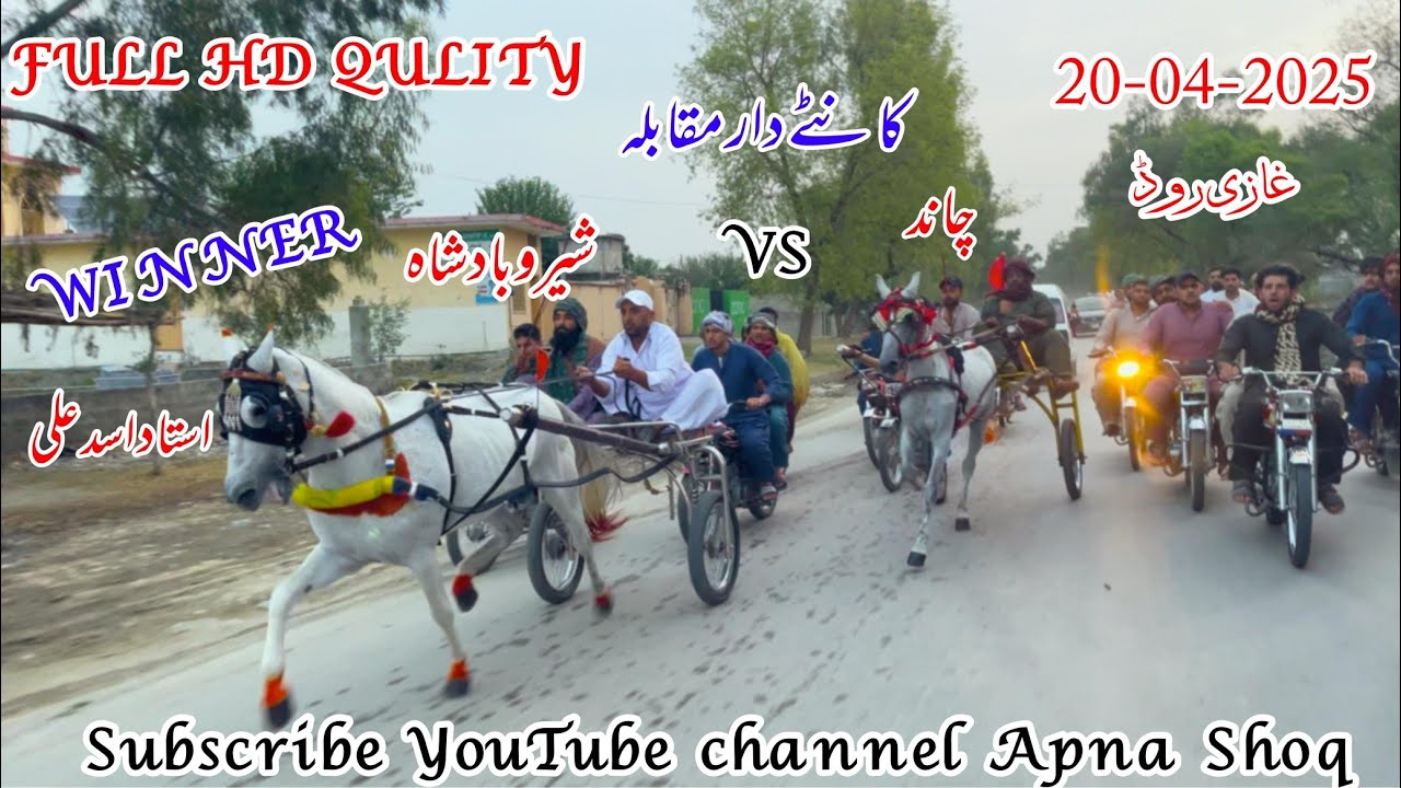 Shero Badshah vs Chand horse Race