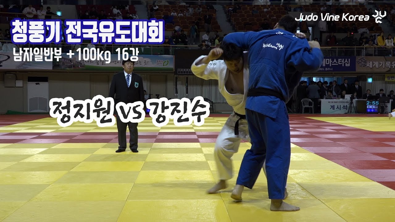 [2019 청풍기 유도] 경남도청 정지원 vs 포항시청 강진수 | Korean JUDO