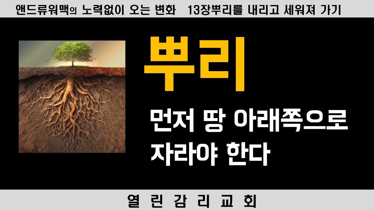 노력 없이 오는 변화 17) 돌 밭, 하나님 나라는 너희 마음속에 있다. 땅속에서 변화가 일어나야 한다. 깊게 뿌리를 내리는 시간(240304)