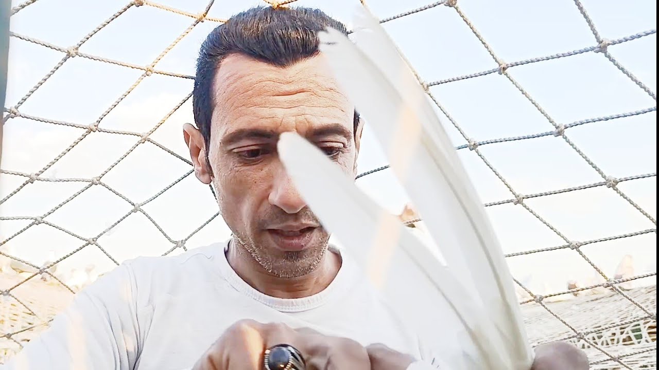 الباكستاني كان...ايروح... وشوف عملت في اية....مع... اوطة إمبابة 